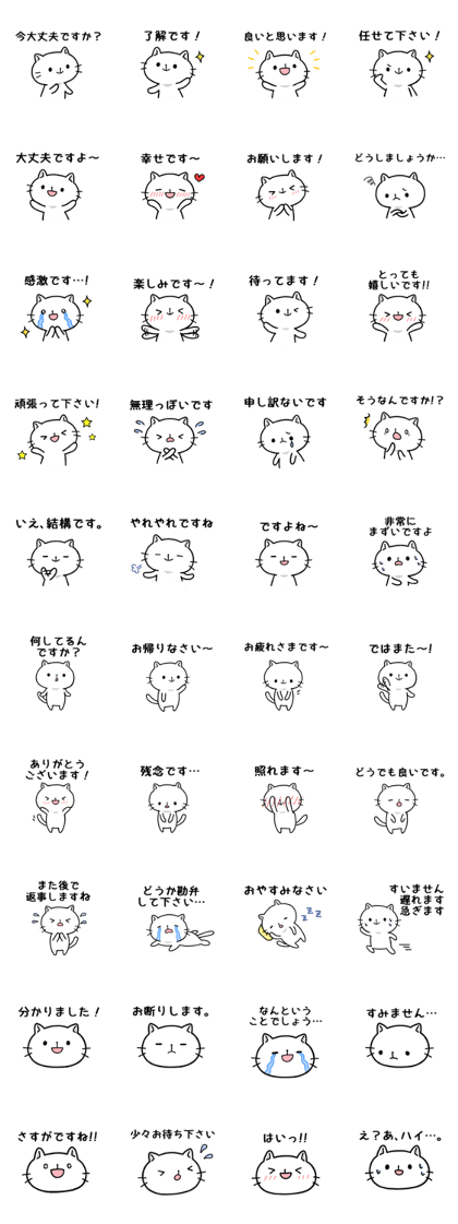 Respect language cute cat