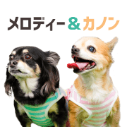 Melody&canon cute Sticker