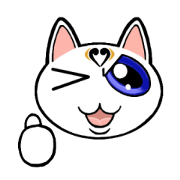 Tortoiseshell cat J 3