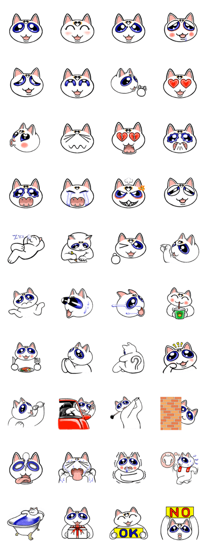 Tortoiseshell cat J 3