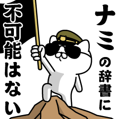 "NAMI"name/Military cat