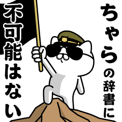 "CHARA"name/Military cat