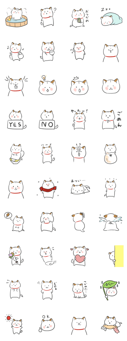 Shiroshiba no Kina Shiroshiba no Kina