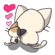 White cat and tortoiseshell cat