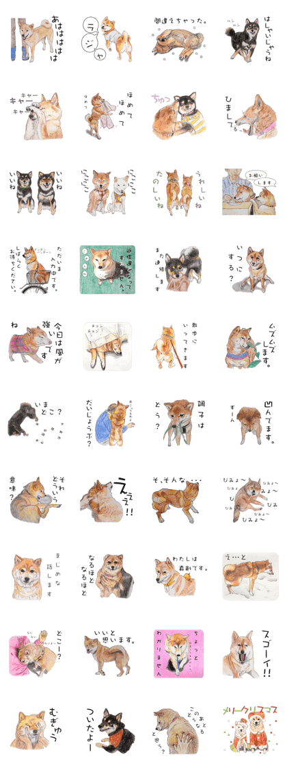 Favorite parts of SHIBAINU3 Favorite parts of SHIBAINU3