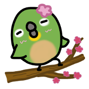 Hana of the Japanese white-eye. Hana of the Japanese white-eye.