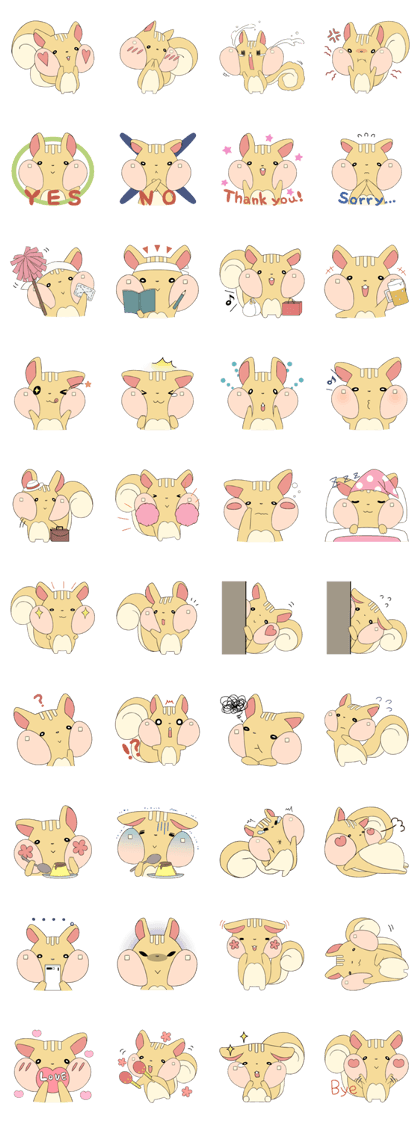 a little chubby squirrel