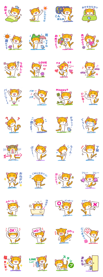 Troubled face red tabby cat