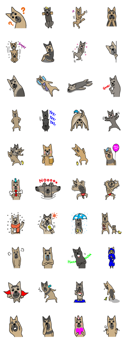 I am German Shepherd