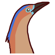 Big Bird (Gorsachius melanolophus) Big Bird (Gorsachius melanolophus)