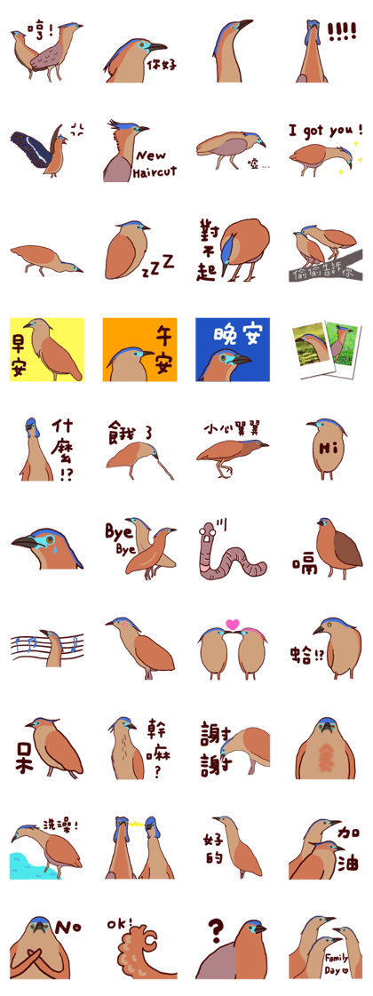 Big Bird (Gorsachius melanolophus) Big Bird (Gorsachius melanolophus)