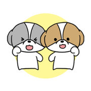 Playful cute Shih Tzu sticker Playful cute Shih Tzu sticker
