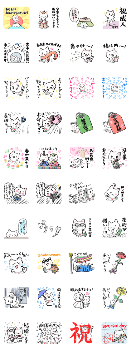 The first half of the cat of season The first half of the cat of season