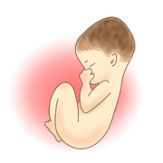 Stickers for pregnant women