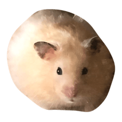 Chisa_20200226205625