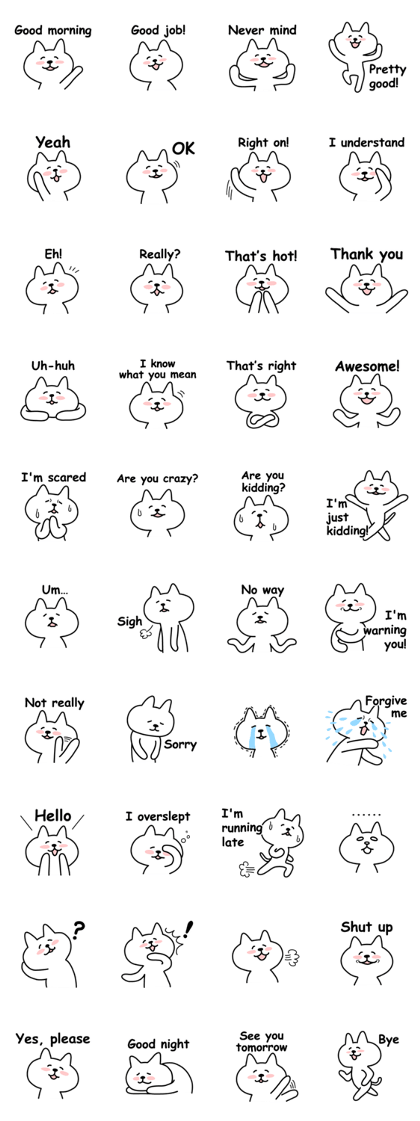 Friendly talking cat