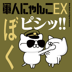 "BOKU"name/Movie Military cat