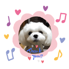 kayo_20200226222907