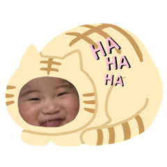 yun_20200226231622