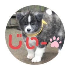 akiko_20200226172255