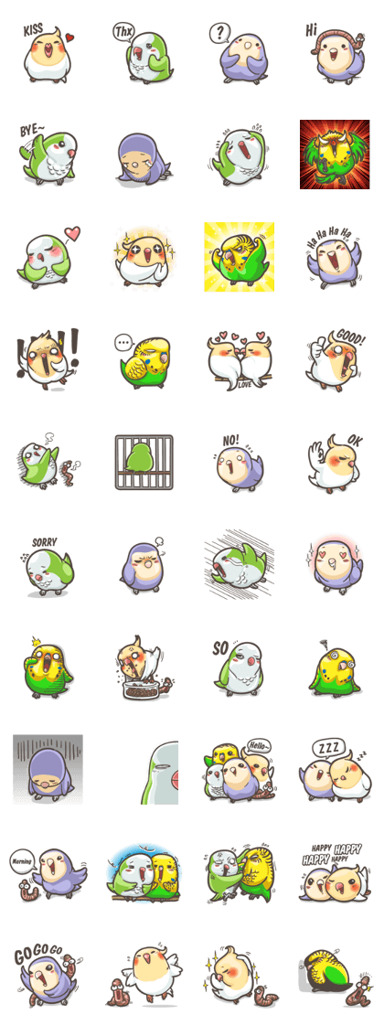 Happy Parrot Happy Parrot