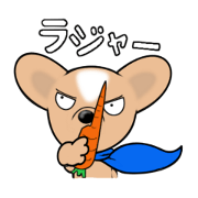 Wachichi of chihuahua 2 Wachichi of chihuahua 2