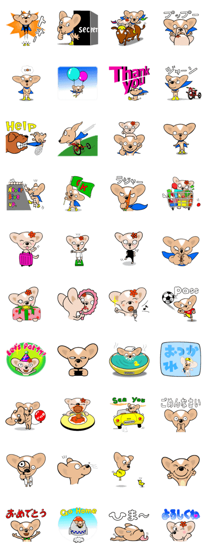 Wachichi of chihuahua 2 Wachichi of chihuahua 2