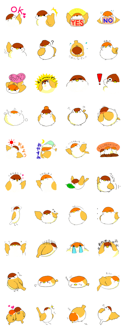 Everyday life of sparrow