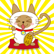 "siamta" of siamese cat (japanese ver.)