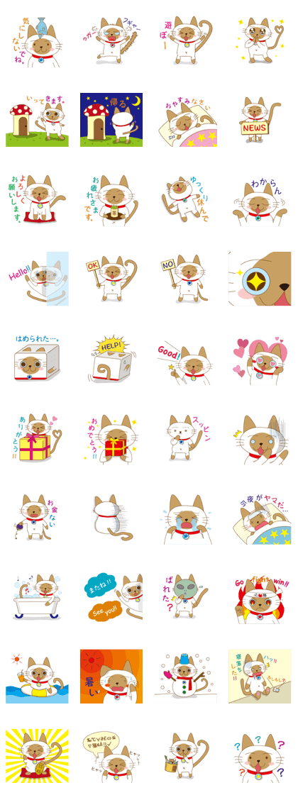 "siamta" of siamese cat (japanese ver.)