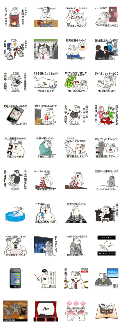 Cat message sticker