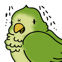 Parakeet of YOMOGI