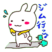 sport gym wiht white bear and rabbit