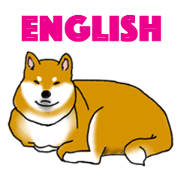 Shiba Inu Expressions