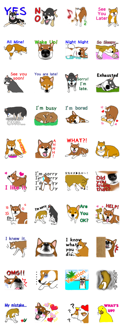 Shiba Inu Expressions
