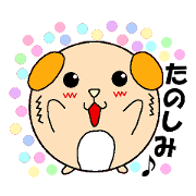 Cute animal Kyuuta kun