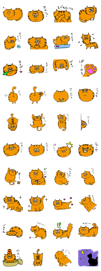 kawaii red tabby cat !