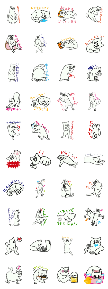 Sunny sometimes cat Sunny sometimes cat