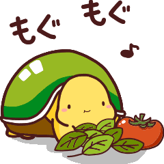 Lovely tortoise (Animation)