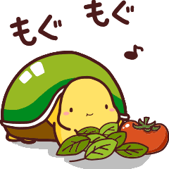 動く 愛されカメさん Line スタンプ Line Store 動く 愛されカメさん Line スタンプ Line Store