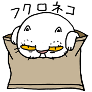 Cat in the bag Cat in the bag