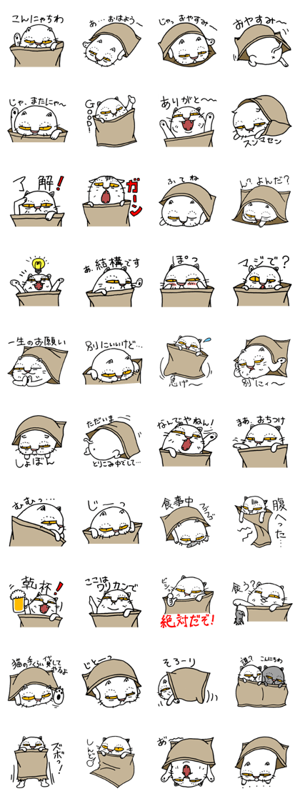 Cat in the bag Cat in the bag