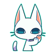 insight cat insight cat