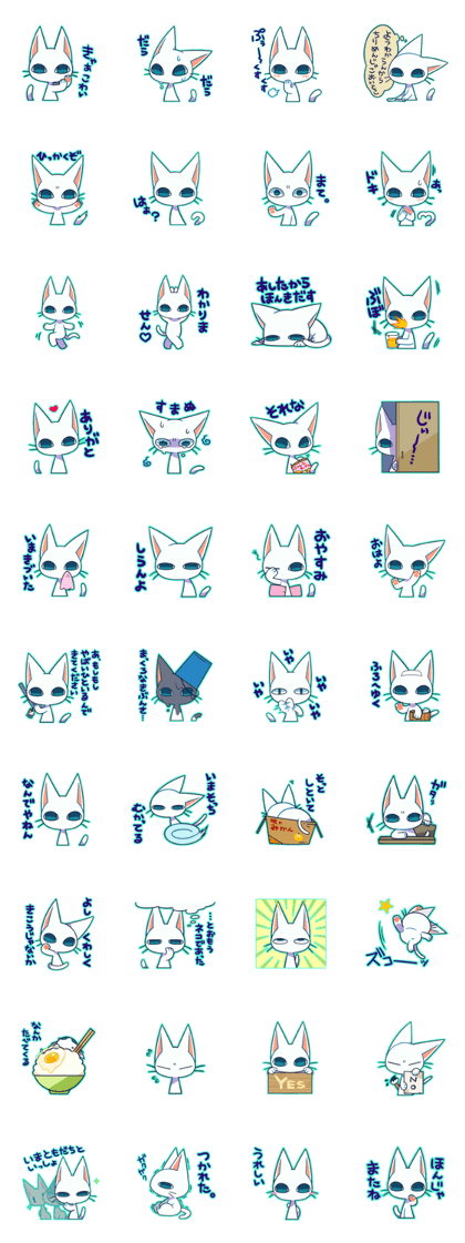 insight cat insight cat