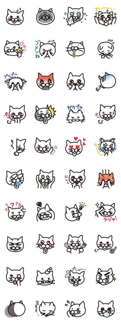 White cat's variety faces
