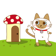 "siamta" of siamese cat (English ver.)