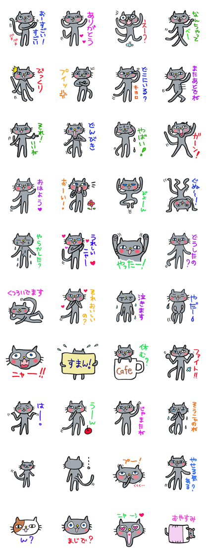 Cute gray cat Cute gray cat