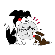 Love Love Border Collies! 3 Love Love Border Collies! 3