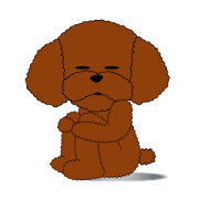 I Love toypoo I Love toypoo