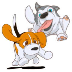 Beagle and Siberian